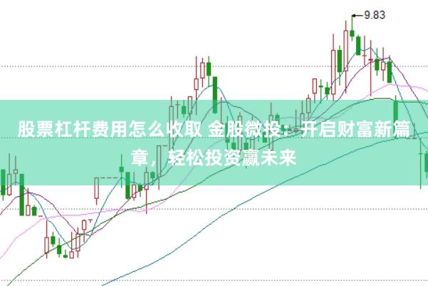 股票杠杆费用怎么收取 金股微投：开启财富新篇章，轻松投资赢未来