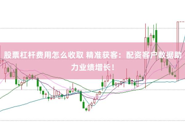 股票杠杆费用怎么收取 精准获客：配资客户数据助力业绩增长！
