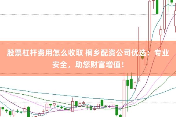 股票杠杆费用怎么收取 桐乡配资公司优选：专业安全，助您财富增值！