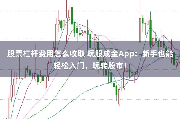 股票杠杆费用怎么收取 玩股成金App：新手也能轻松入门，玩转股市！