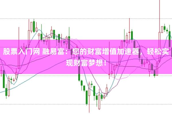 股票入门网 融易富：您的财富增值加速器，轻松实现财富梦想！