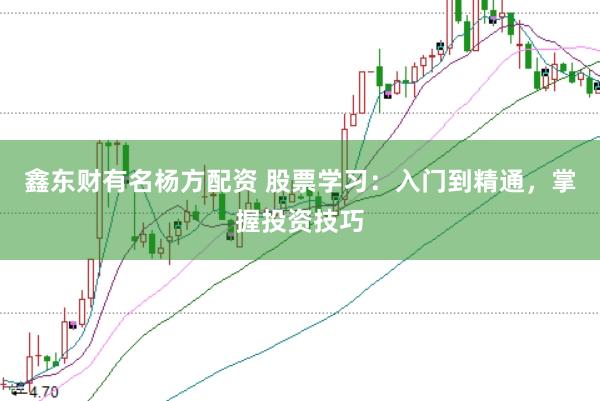 鑫东财有名杨方配资 股票学习：入门到精通，掌握投资技巧