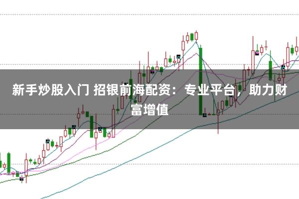 新手炒股入门 招银前海配资：专业平台，助力财富增值