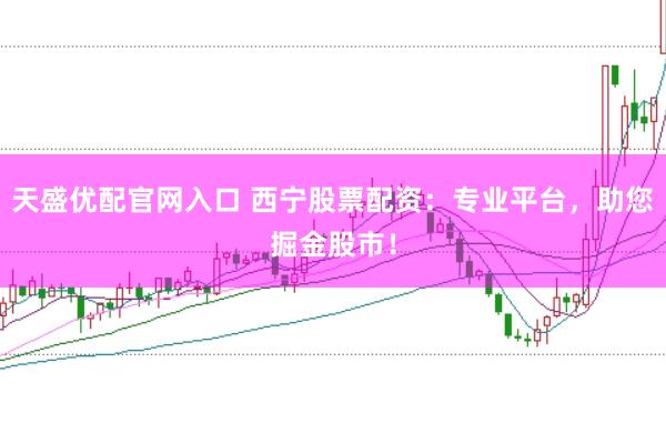 天盛优配官网入口 西宁股票配资：专业平台，助您掘金股市！